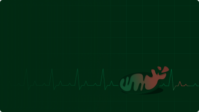 Mitochondrial dysfunction can increase cellular ageing and make you prone to several diseases.