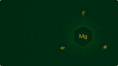 Magnesium supports muscle and nerve function, energy production, bone health, and helps regulate blood pressure and blood sugar levels.
