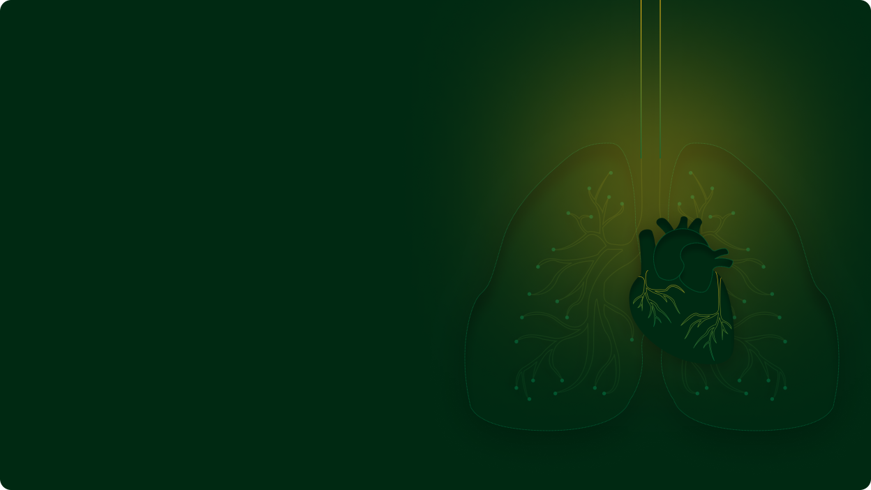 VO2Max is the maximum volume of oxygen the muscles can utilise during an intense workout