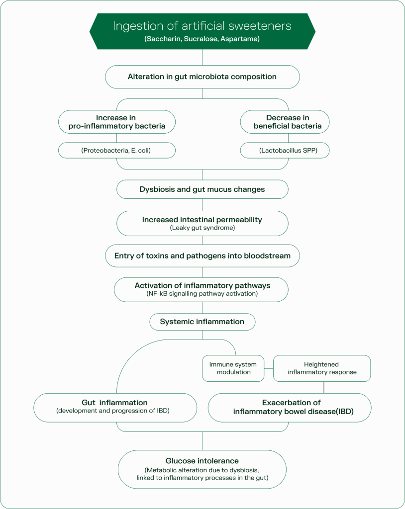 Flowchart: How Artificial Sweeteners Disrupt the Gut

Ingestion of compounds like saccharin, sucralose, and aspartame alters gut microbiota composition—reducing microbial diversity and shifting key metabolic pathways. This dysbiosis has been linked to systemic inflammation, impaired glucose tolerance, and increased risk of inflammatory bowel diseases (IBD).