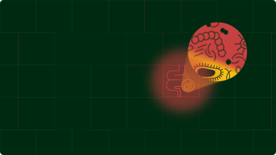 Gut dysbiosis, caused by an imbalance in the gut microbiome can lead to several chronic health conditions.