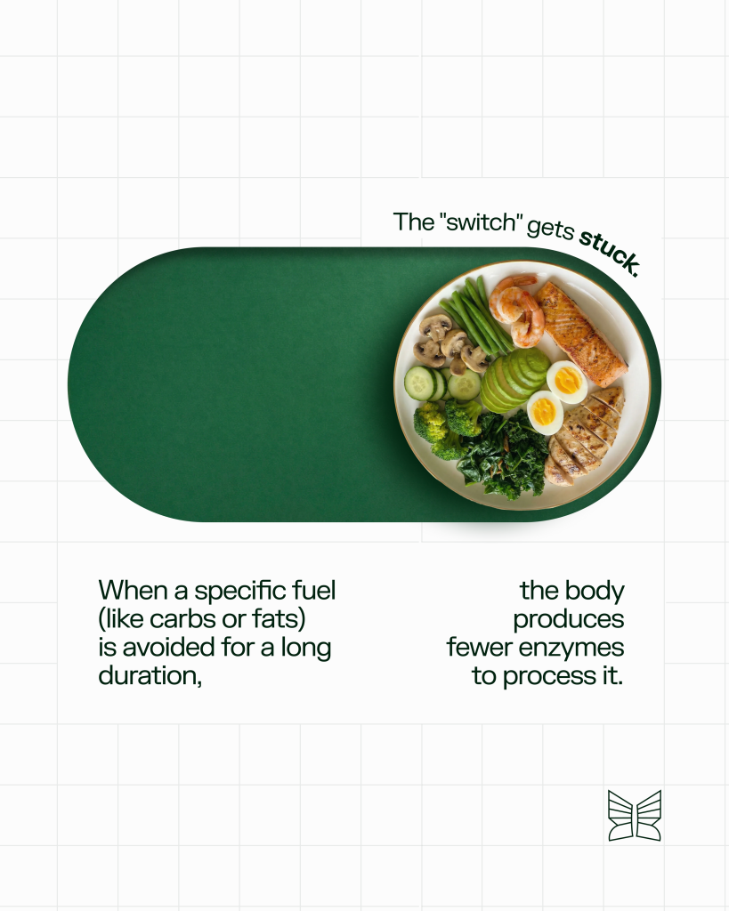 Healthy meal plate inside a capsule-shaped frame illustrating how long-term fuel avoidance reduces enzyme production and creates metabolic inflexibility.