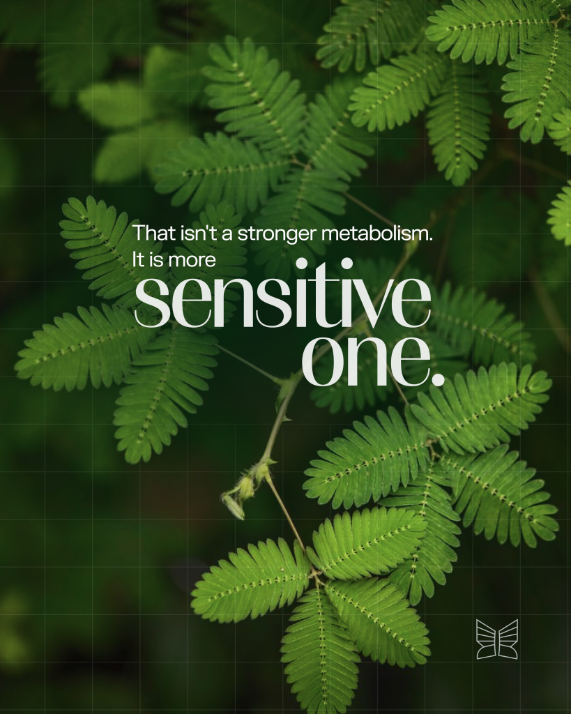 Green fern leaves with text explaining that strict dieting creates a more sensitive metabolism not a stronger one.