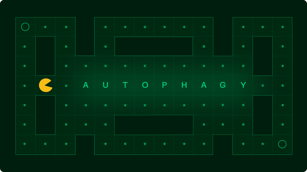 autophagy: the cell's recycling system