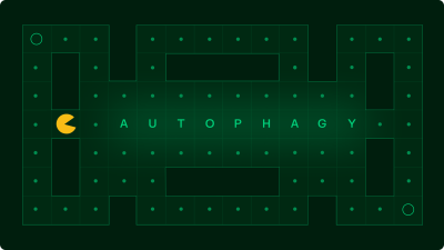 autophagy: the cell's recycling system